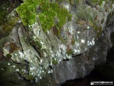 El Bierzo;Busmayor;León;senderismo selva negra madeira senderismo sierradegredos ruta por cuenca